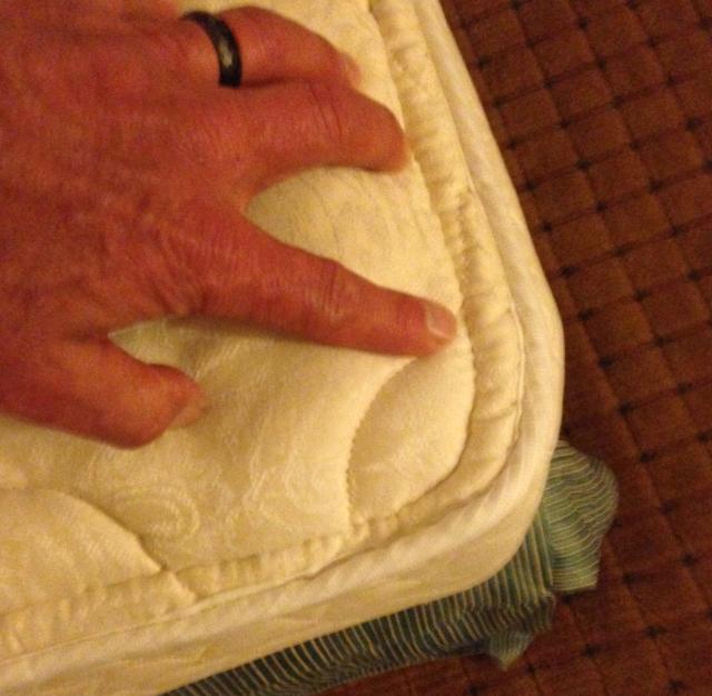 Bed Bug Checkin'